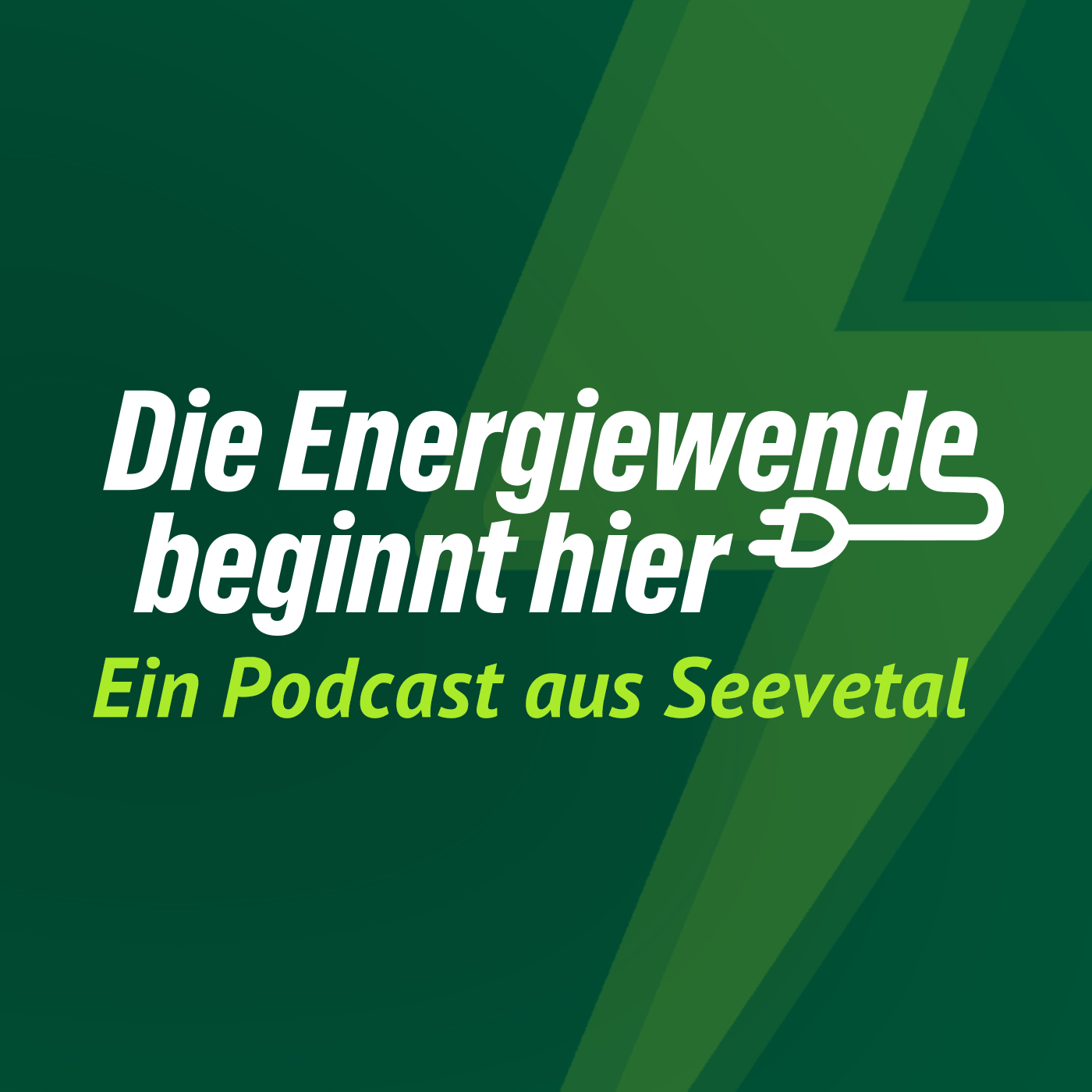 Die AG Energie der GRÜNEN Seevetal cover art